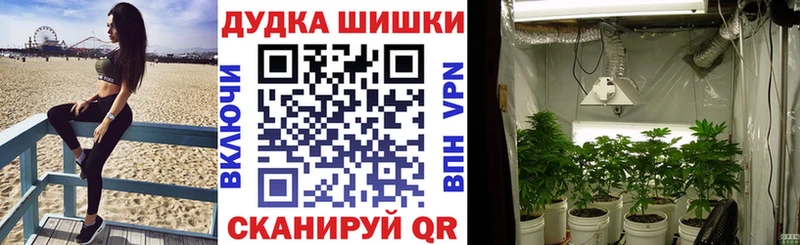 Конопля VHQ  как найти закладки  Яранск 
